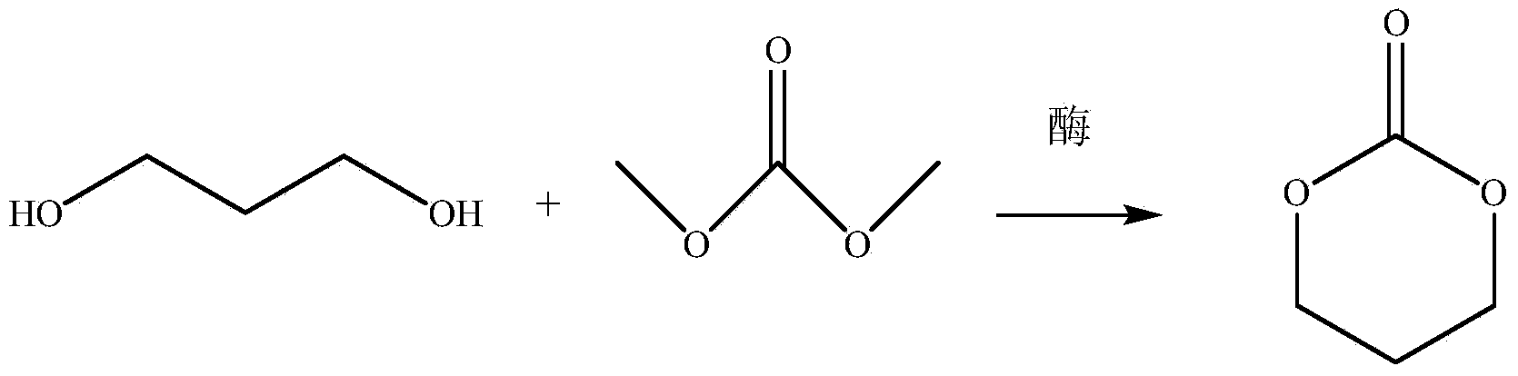 Method for preparing methylene carbonic ester by using enzymic method