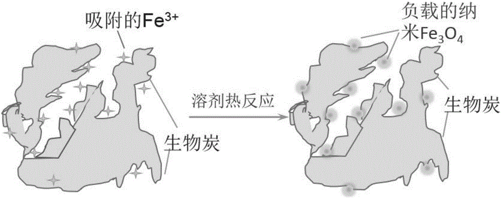 Magnetic biochar adsorbing material and preparation method thereof