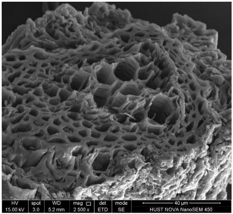 Magnetic biochar adsorbing material and preparation method thereof