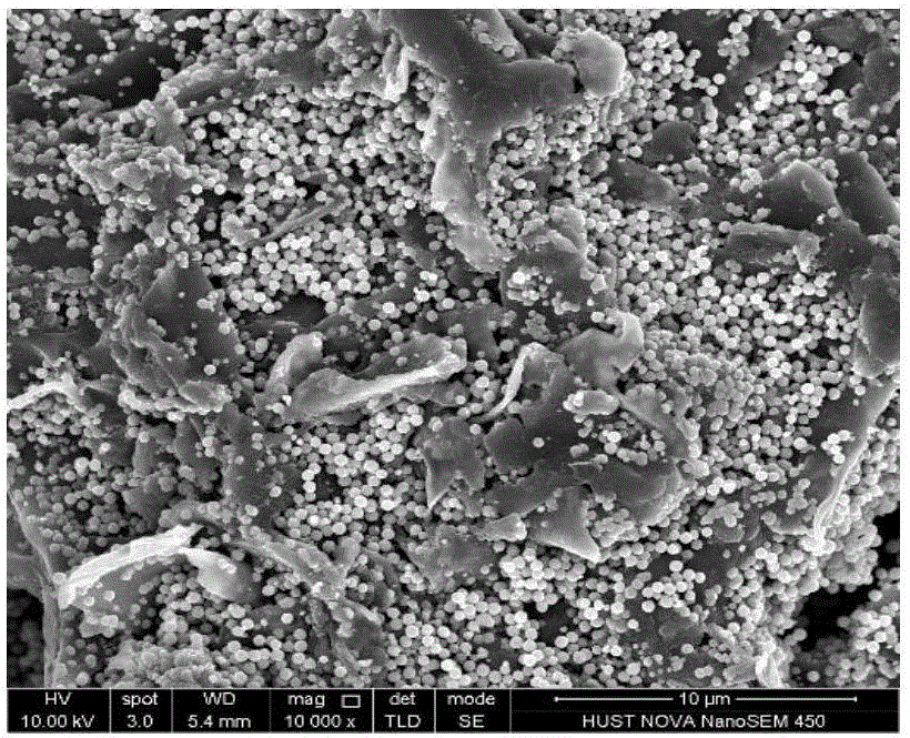 Magnetic biochar adsorbing material and preparation method thereof