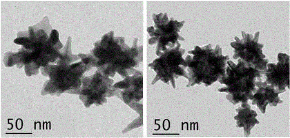 Gold nanostar materials cross-linked with pH-responsive transmembrane small peptides and their applications