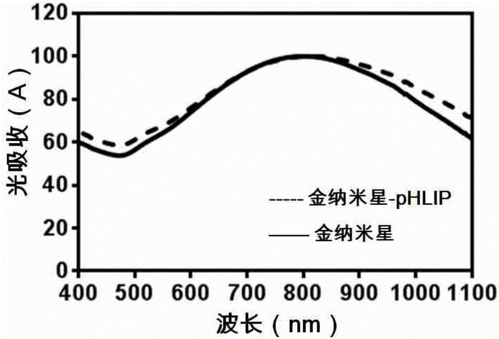 Gold nanostar materials cross-linked with pH-responsive transmembrane small peptides and their applications