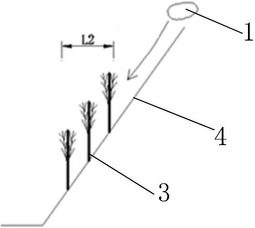 Slope mixing forming ecological protection method