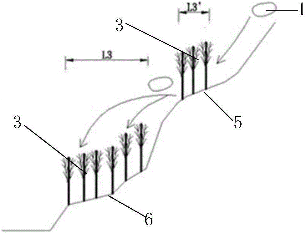 Slope mixing forming ecological protection method