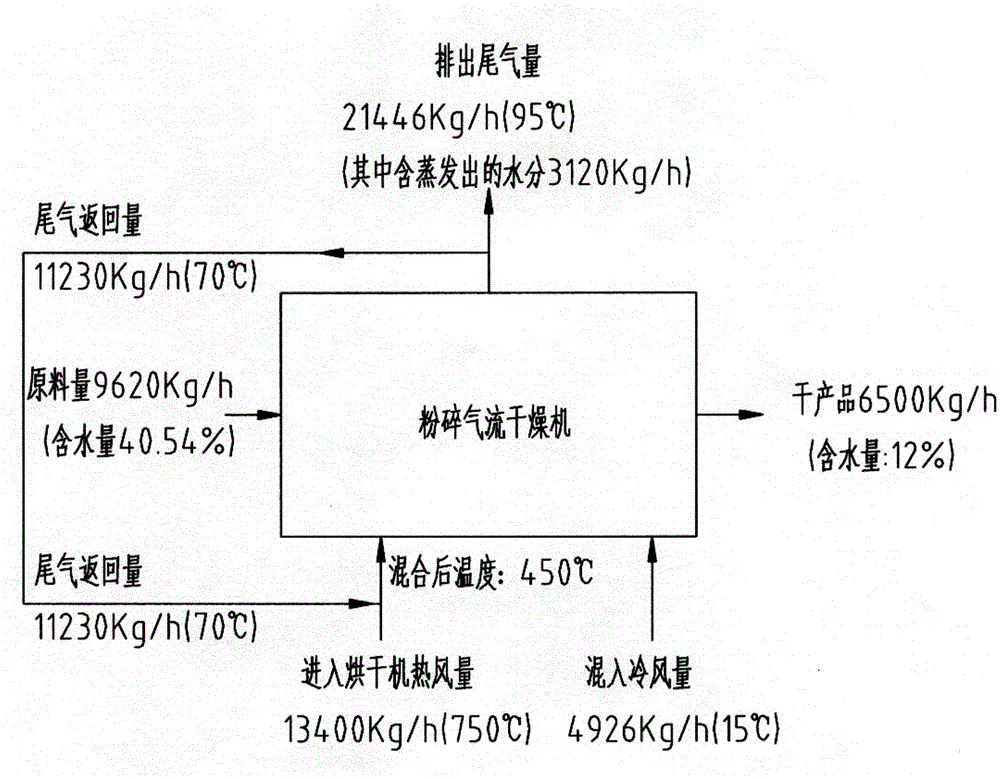 Brown coal drying technology and system