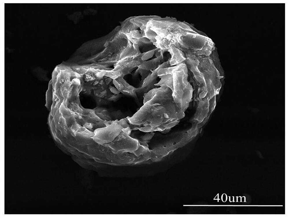 Nitrogen-doped porous carbon material based on polyvinylidene chloride and its preparation method and application