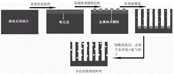 Method for preparing mesoporous silicon nanowires by metal nanoparticle-assisted etching method