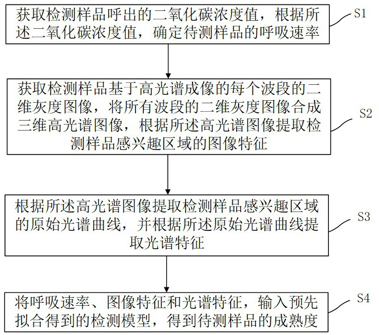 A method and device for nondestructive testing of passion fruit maturity based on multi-source information