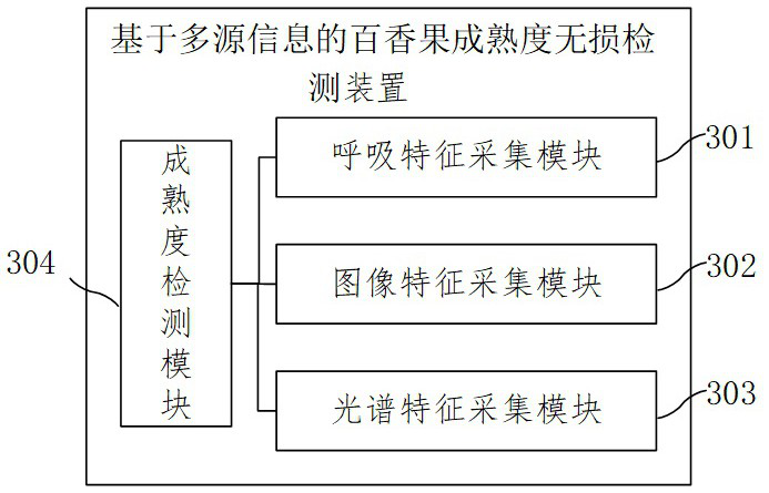 A method and device for nondestructive testing of passion fruit maturity based on multi-source information