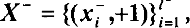 Maximum and minimum network modulation of automatic computer sex identification