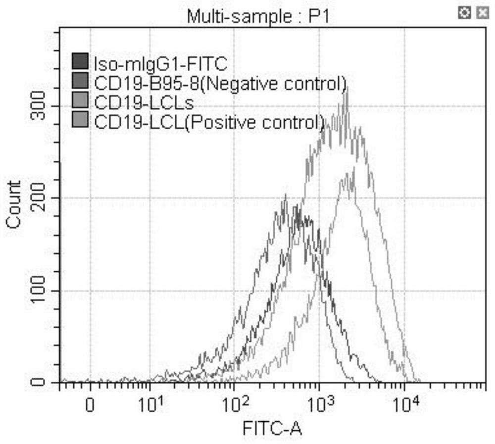 Tumor composite antigen, dendritic cell multivalent vaccine and application of dendritic cell multivalent vaccine