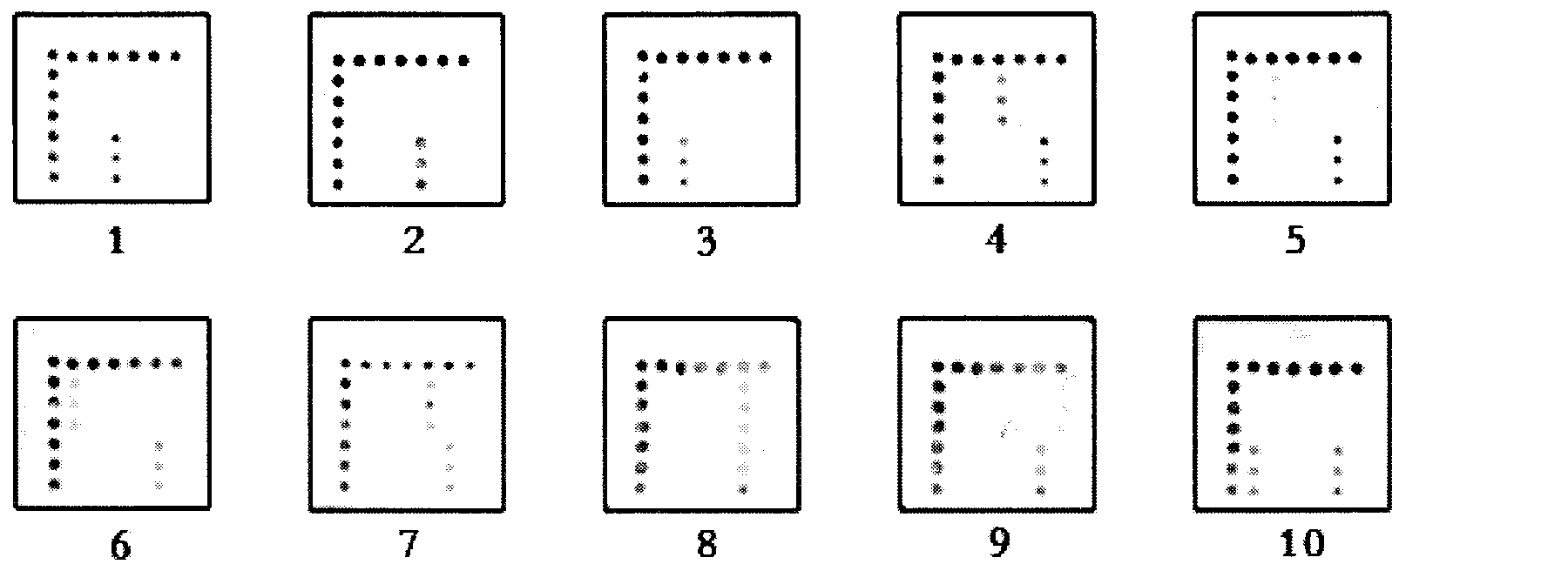 Preparation and application of gene chip for detecting important enteric causative viruses