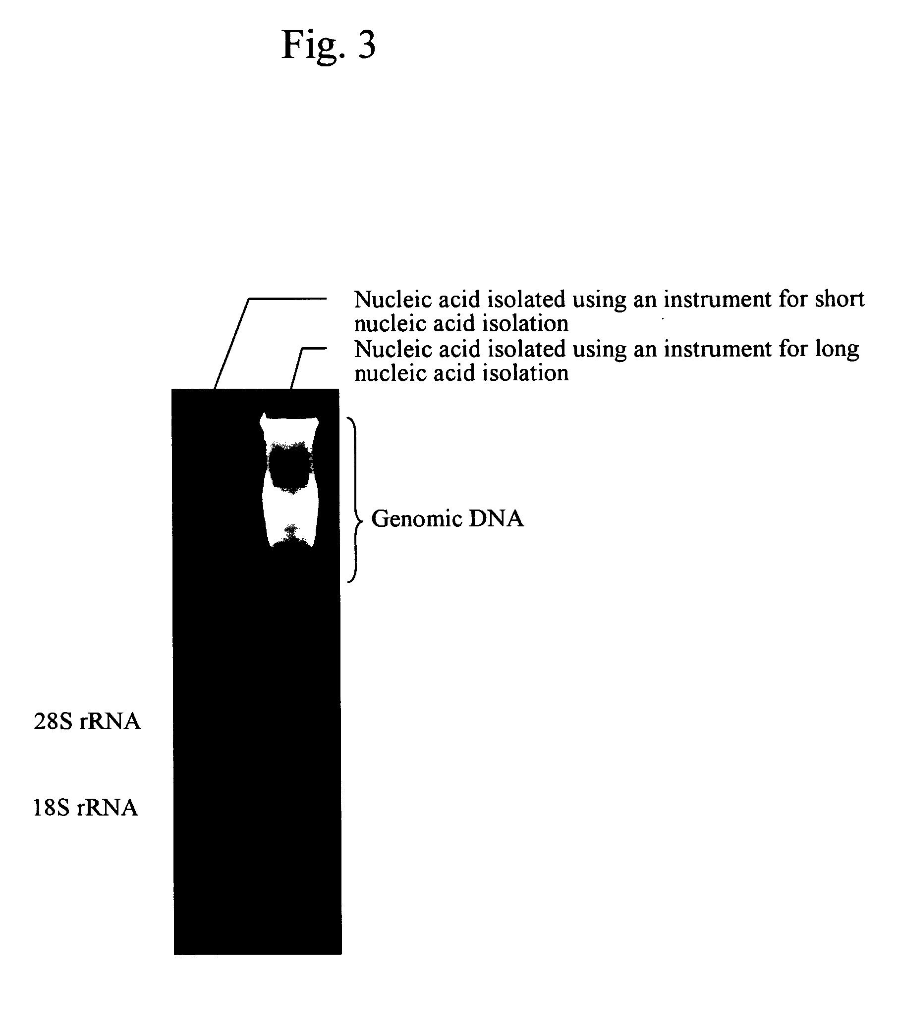 Methods for nucleic acid isolation and instruments for nucleic acid isolation