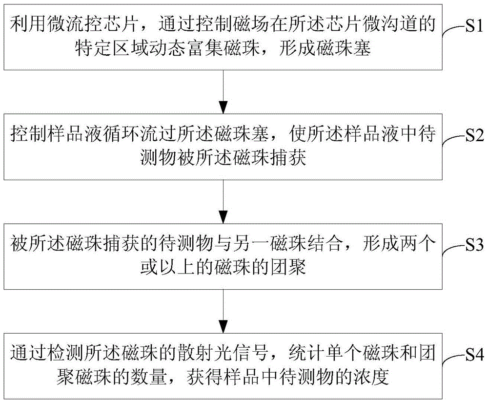 Microfluidic chip-based immunoaggregation detection method, chip and system