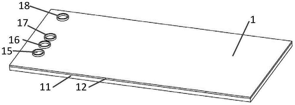 Microfluidic chip-based immunoaggregation detection method, chip and system