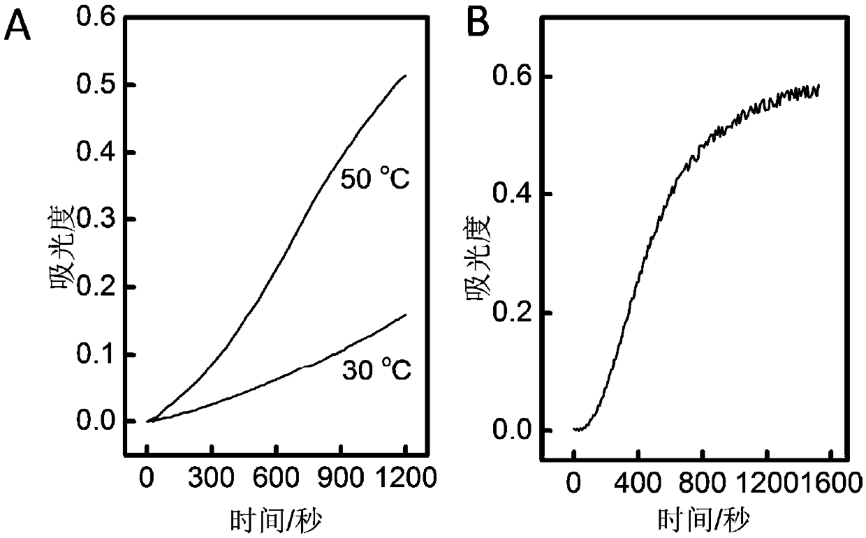 Black phosphorus quantum dot coated by core-shell metal organic framework, and preparation method and applications thereof