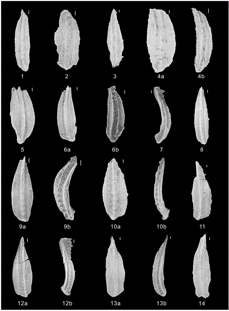 Method for quantitatively recovering carbonate rock stratum denudation quantity