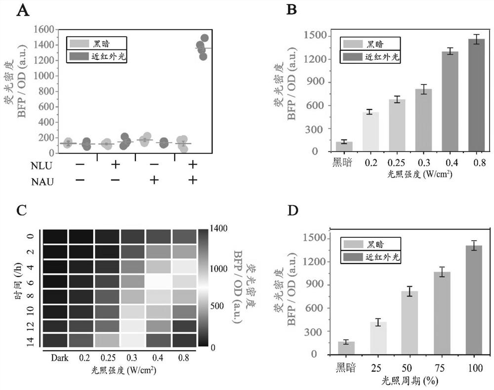 A dynamic control system for near-infrared light control and its application