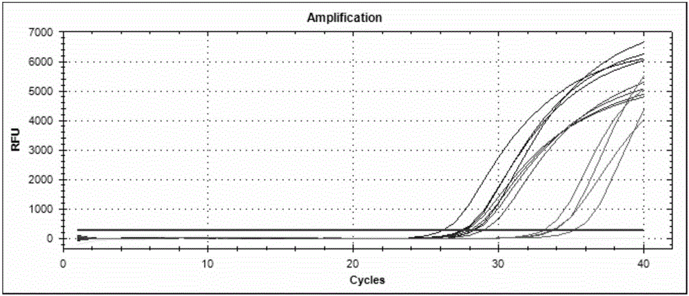 Lung cancer detection kit and application thereof