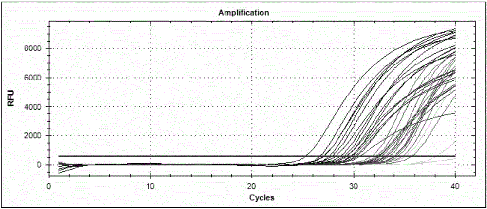 Lung cancer detection kit and application thereof