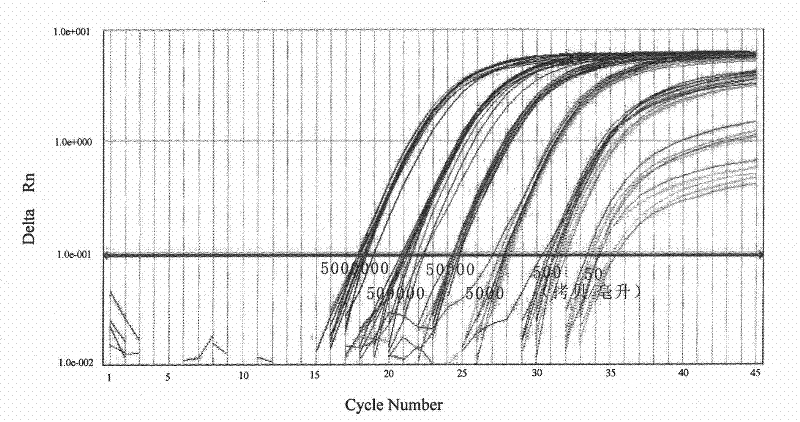 Reagent for extracting RNA or DNA virus in body fluid