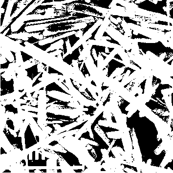 Preparation method of lithium iron phosphate monocrystalline nanorods