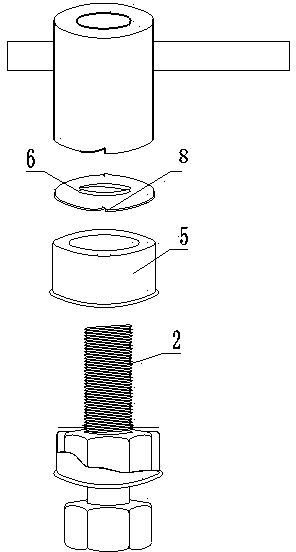 Anti-theft and anti-disassembly nut shield