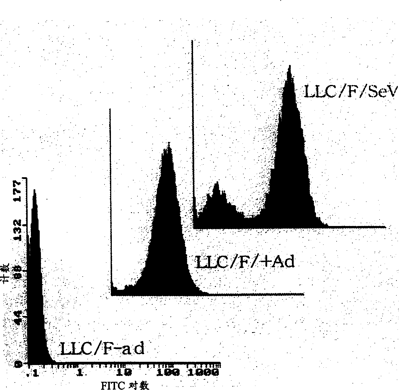 Paramyxorividae virus vector defective in envelope gene