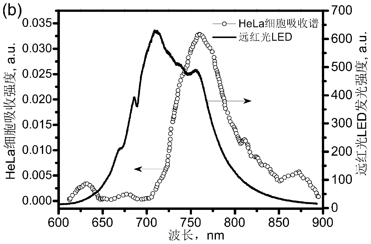 Display device light source module for promoting growth and repair of retinal cells and visual neurons, display screen and application