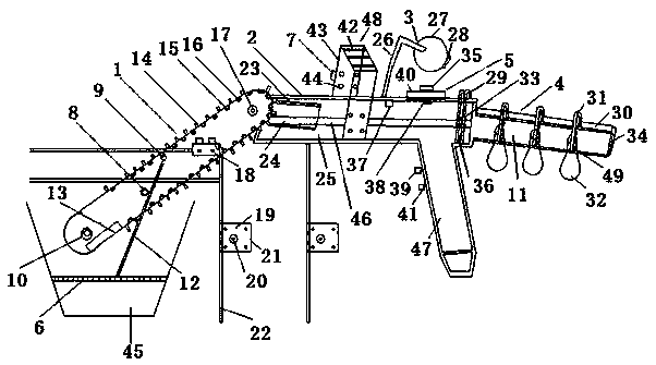 Sterilization, disinfection and sorting device for strawberries