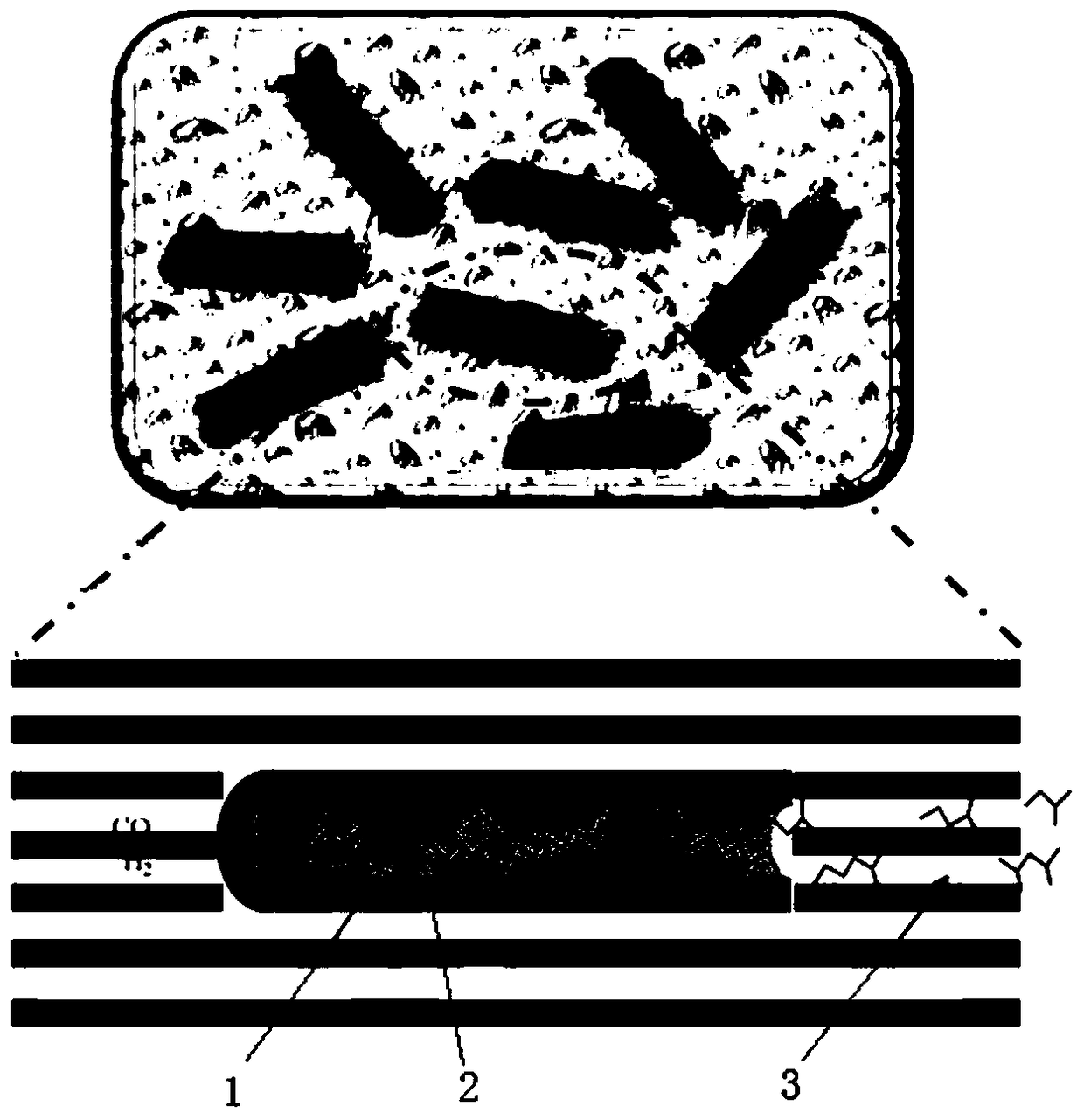 A kind of carbon tube microcapsule catalyst and its preparation method and application