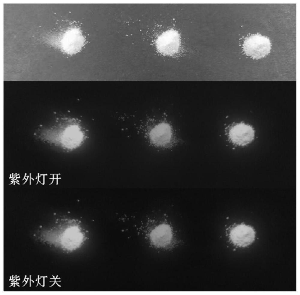 Phosphorescent carbon quantum dot-based composite material and preparation method thereof