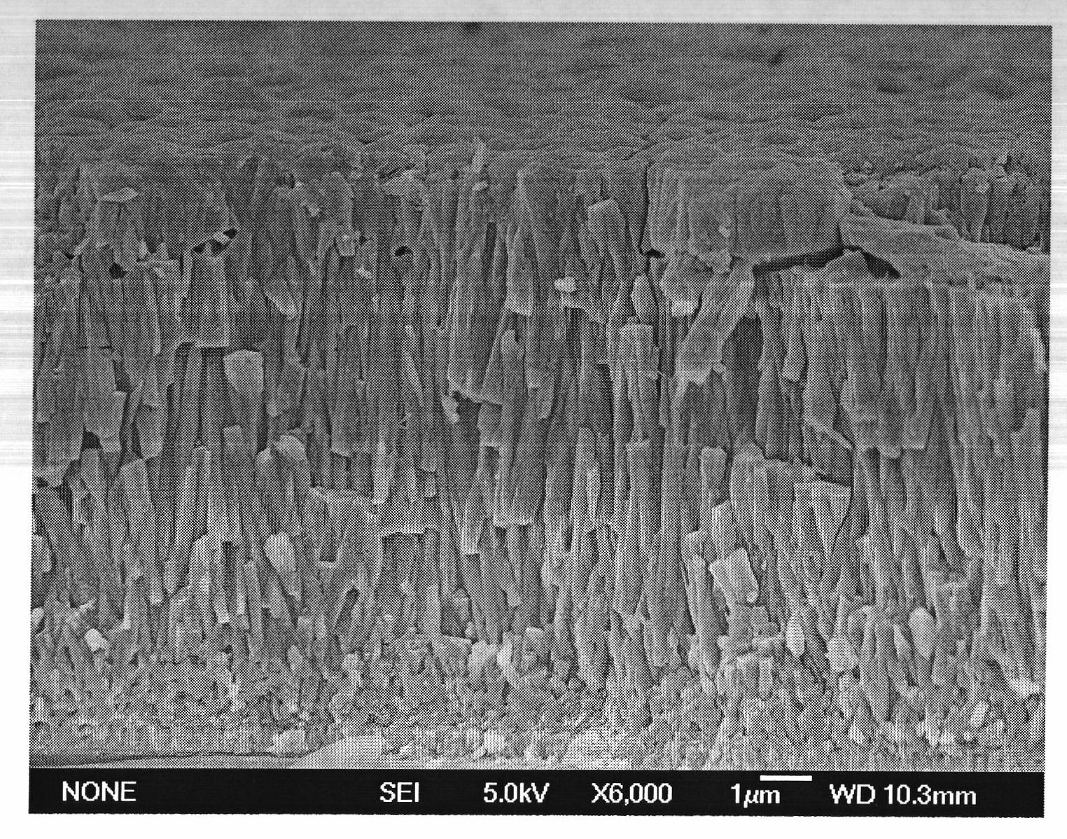 Method for preparing nuclear-shell-structured rutile monocrystal titanium dioxide nanowire array with surface-cladding carbon layer