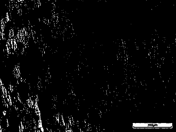 Preparation technology of high density molybdenum-tantalum alloy sputtering target material