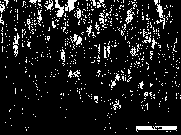 Preparation technology of high density molybdenum-tantalum alloy sputtering target material