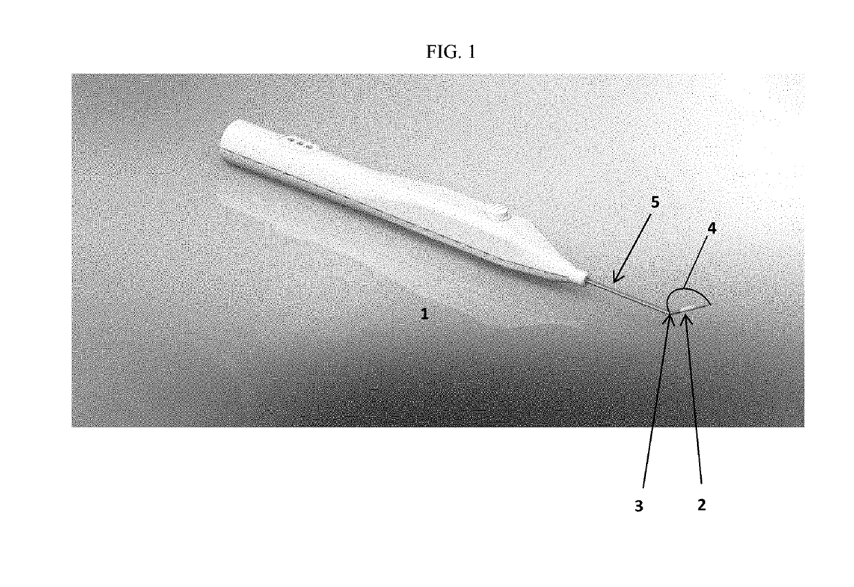 Energy delivery devices with flexible and adjustable tips