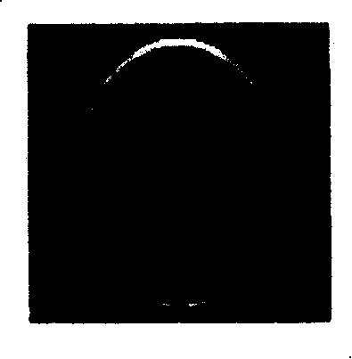 Artifact correction method based on even marker in plane echo imaging technique