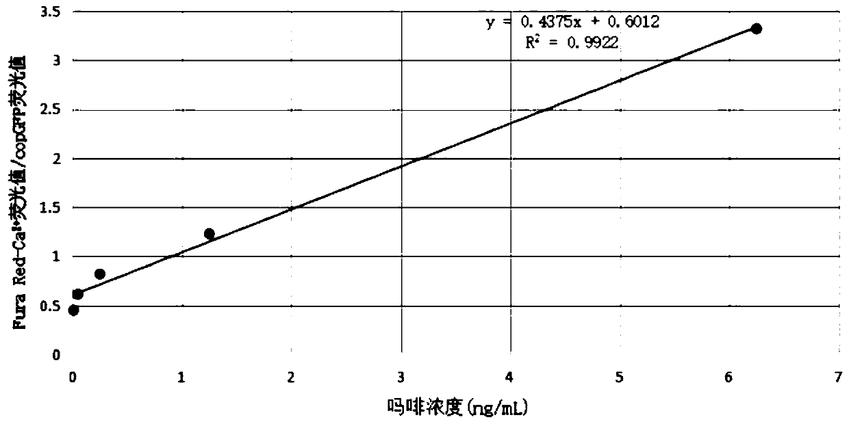 Universal detection method for opioid active substances and detection kit thereof