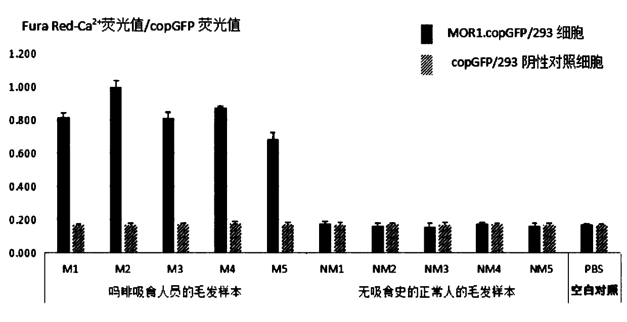 Universal detection method for opioid active substances and detection kit thereof