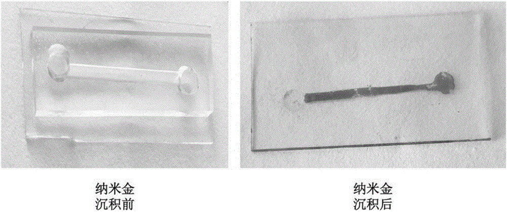 Method for depositing nanogold in microfluidic pore passage