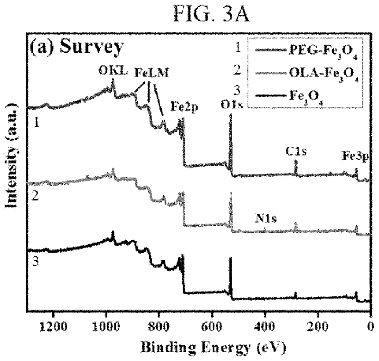 Hydrophilic and hydrophobic superparamagnetic fe3o4 nanoparticles as t2-contrast agents for oil reservoir applications