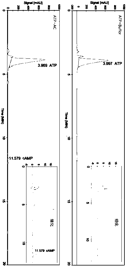 Separation and identification method of cAMP synthesis reaction system components and application thereof