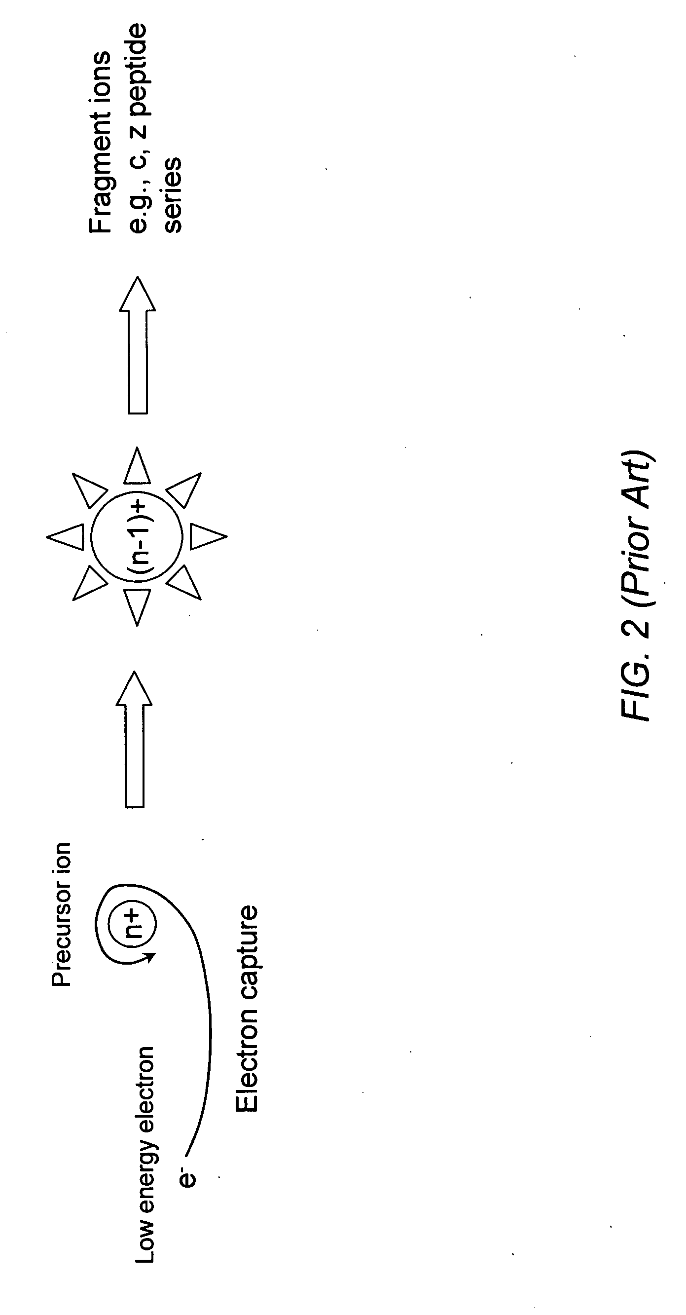 Electron capture dissociation in radiofrequency ion traps