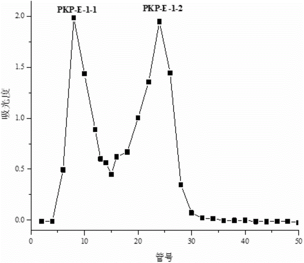 Single polysaccharide component PKP-E-2-2 of pinecone of pinus koraiensis and preparation method of single polysaccharide component PKP-E-2-2