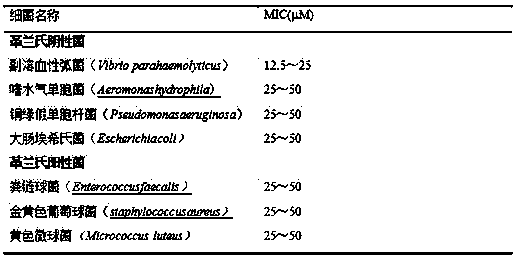 Litopenaeus vannamei antibacterial peptide gene Lv-BigPEN and recombinant protein and application thereof