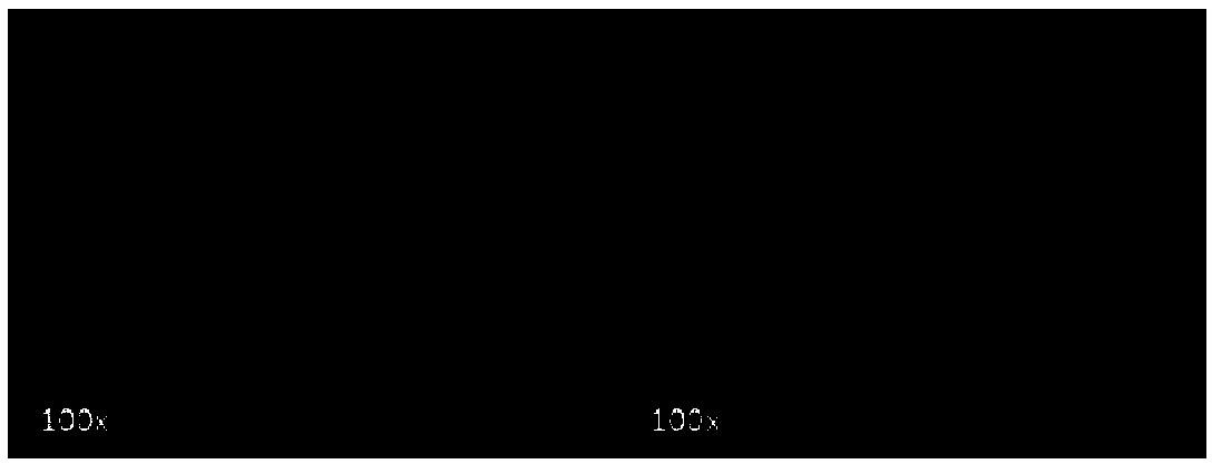 Reagent kit and method for dissociating animal embryo