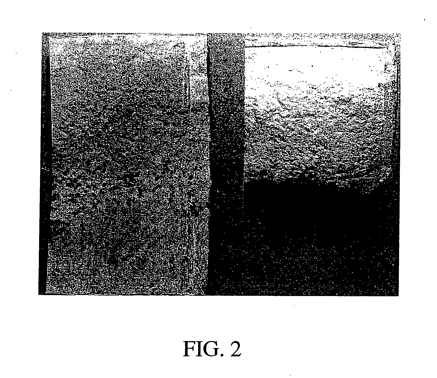 Fiber cement composite material using biocide treated durable cellulose fibers