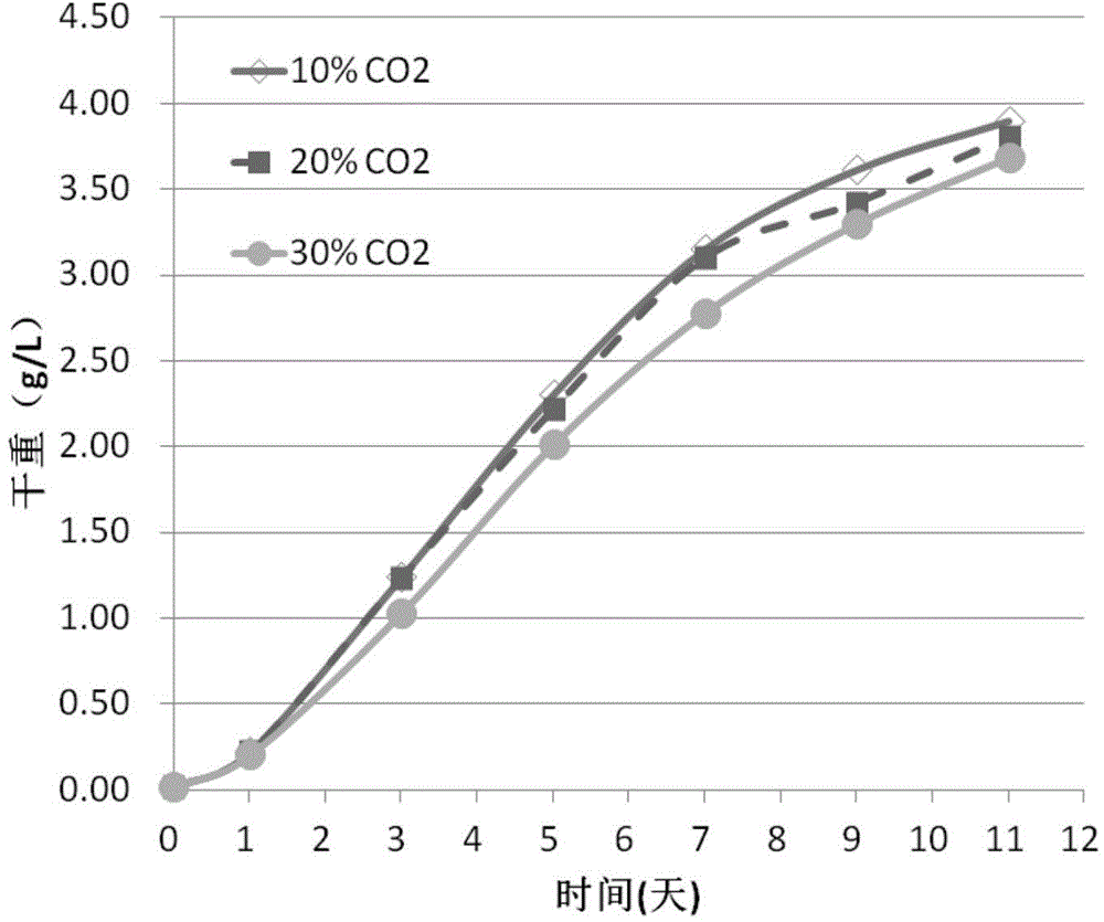 Breeding method of high-concentration CO2-tolerant microalgae species