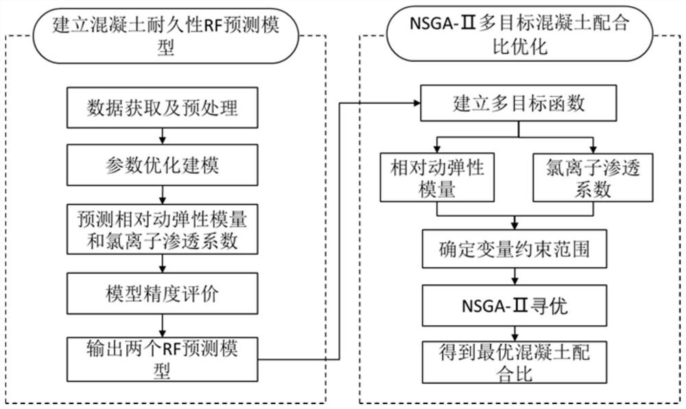 Durable concrete mix proportion optimization method based on RF-NSGA-II