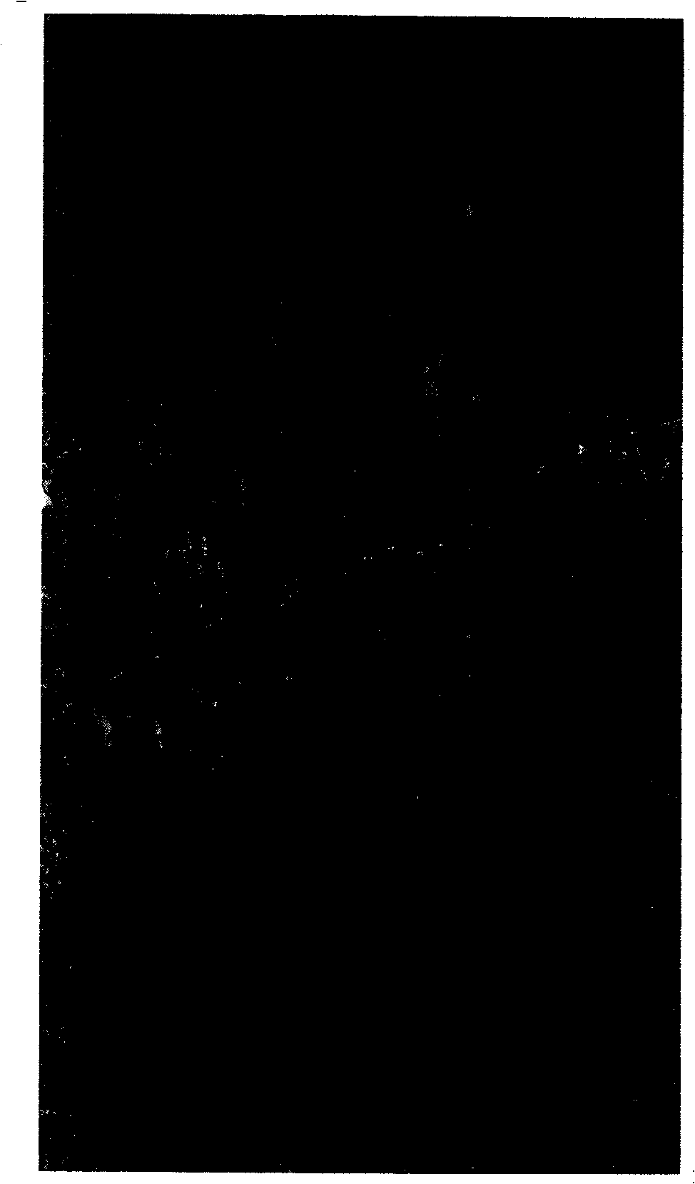 DMC color composition image radiation re-handling method